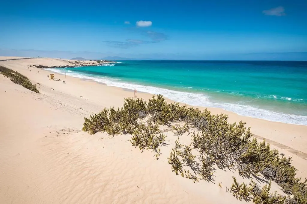 Los Majos Fuerteventura Tarajalejo